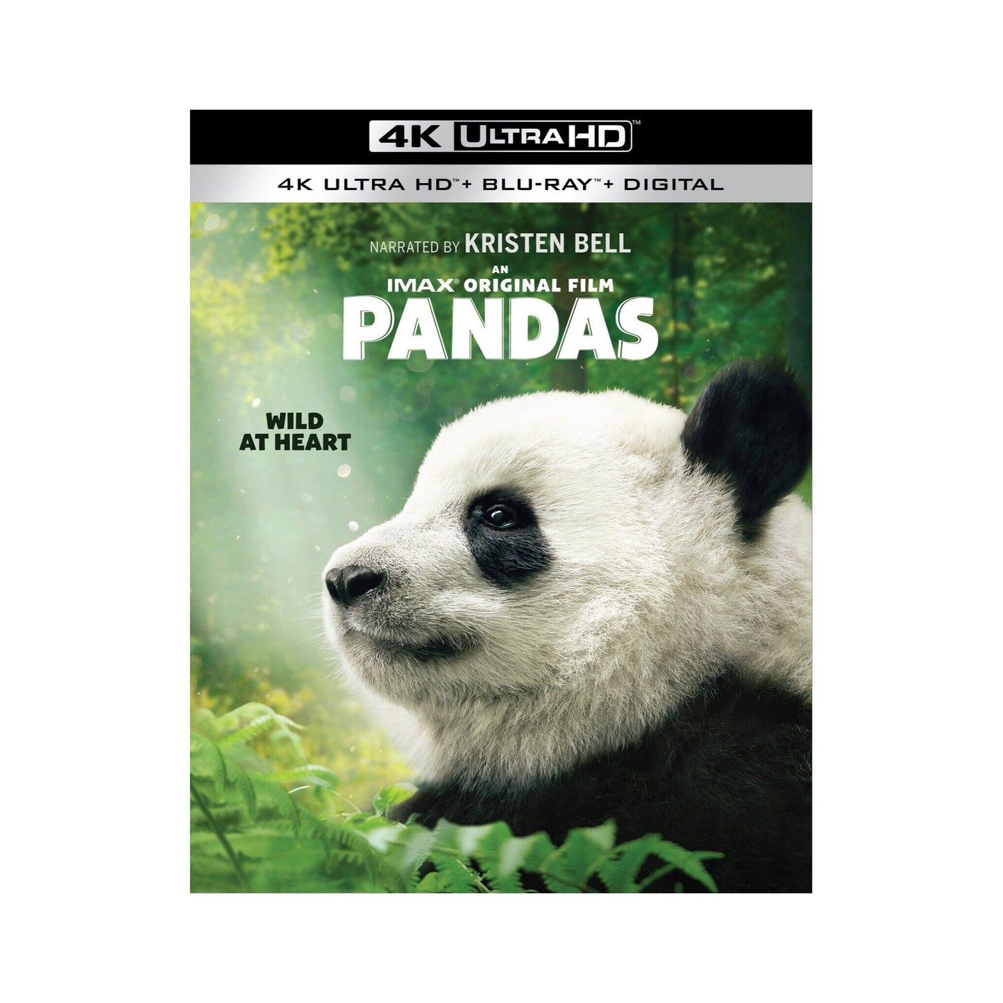 Pandas 4K - Best Buy Exclusive